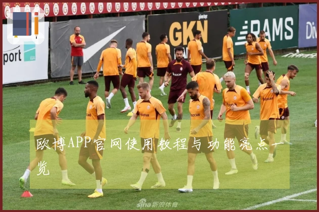 欧博APP官网使用教程与功能亮点一览