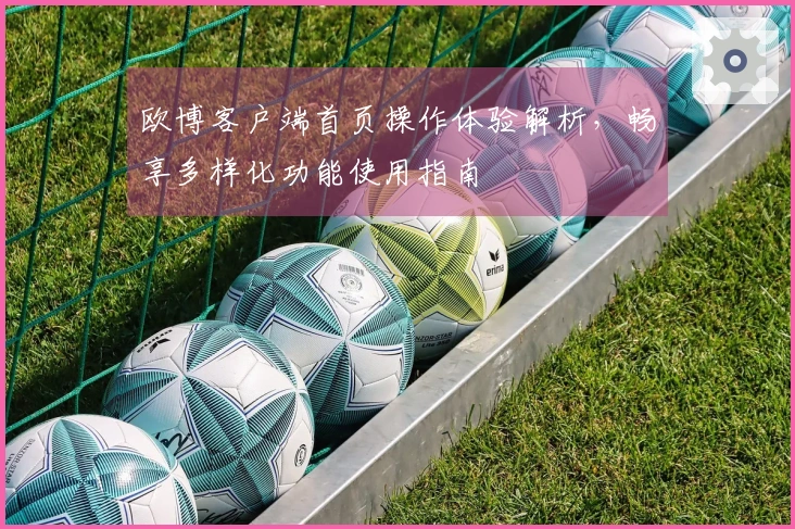 欧博客户端首页操作体验解析，畅享多样化功能使用指南