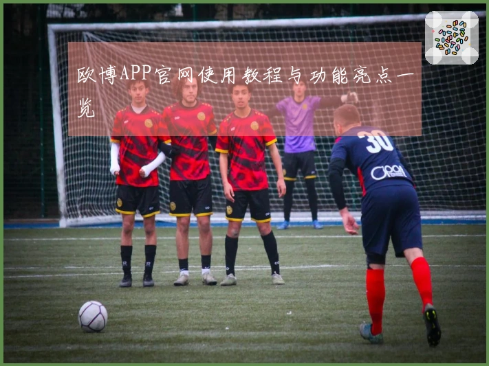 欧博APP官网使用教程与功能亮点一览